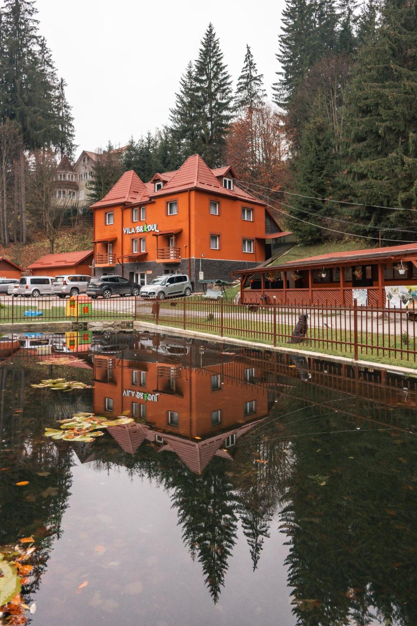 Vila Bradul Lacul Roşu Exterior foto